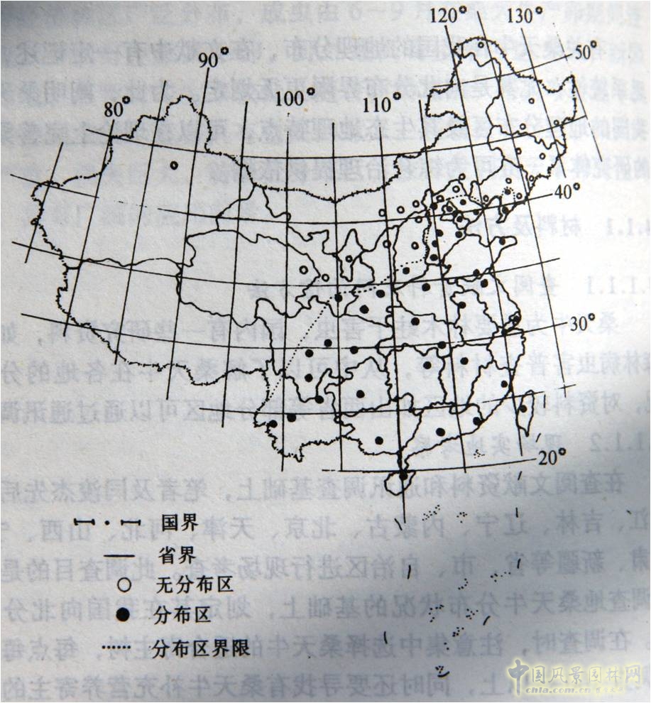 桑天牛在中國分布區(qū)
