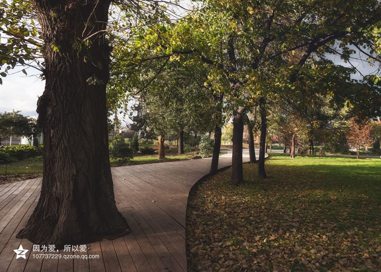 道路與街邊公園的角色轉換