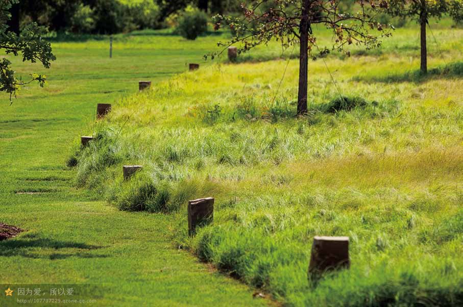 美國德勤大學校園景觀