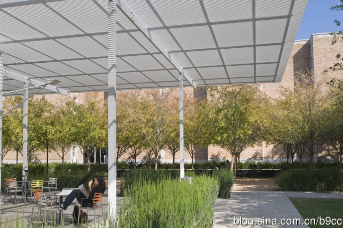 萊思大學Brochstein 亭