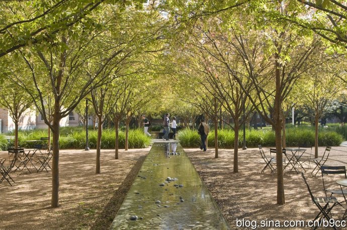 萊思大學Brochstein亭