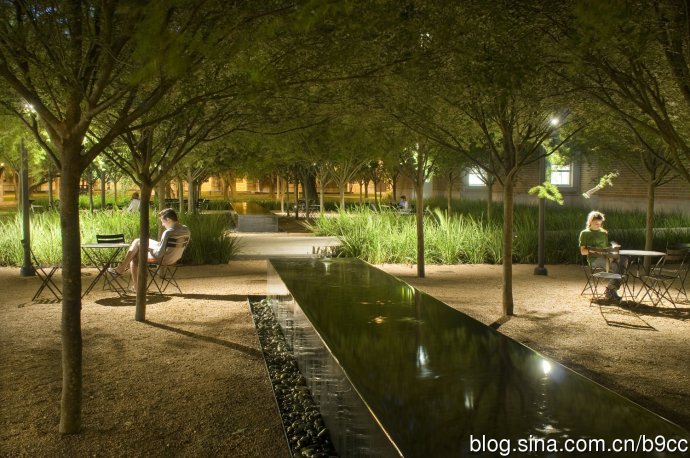 萊思大學Brochstein 亭