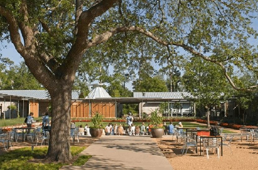 香格里拉植物園 景觀設計 植物園 可持續設計