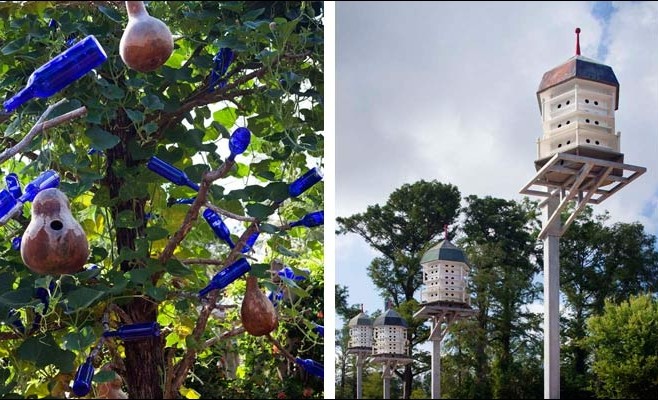 香格里拉植物園 景觀設計 植物園 可持續設計