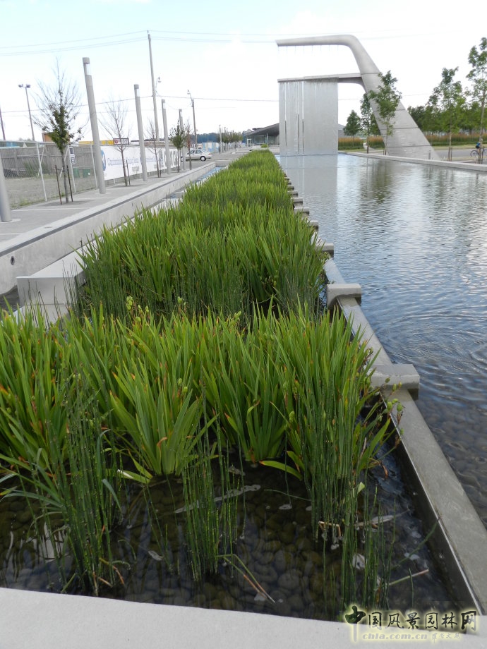 多倫多Sherbourne Common社區(qū)公園