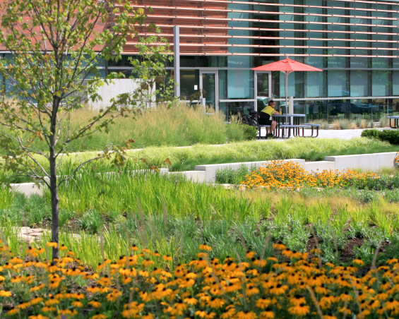 保險(xiǎn)公司總部景觀項(xiàng)目