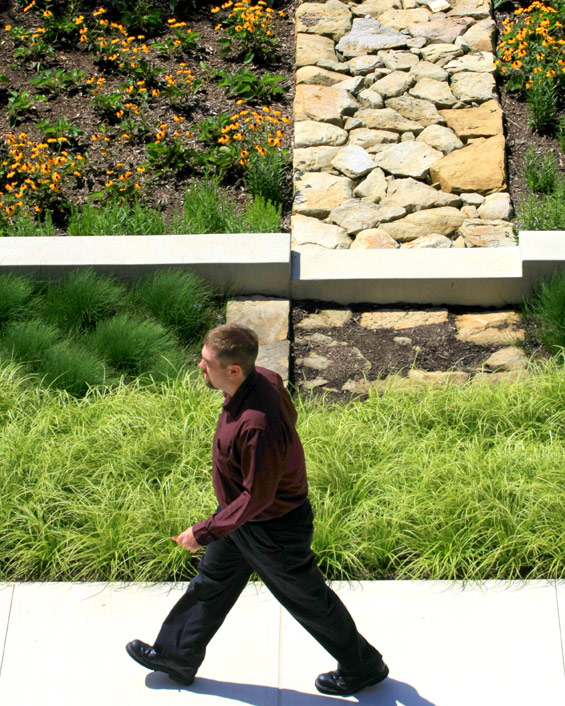 保險(xiǎn)公司總部景觀項(xiàng)目