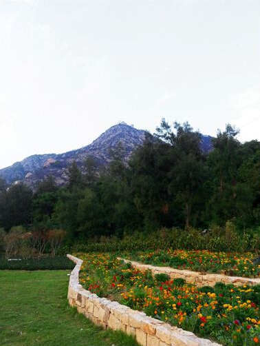 東聯設計攜手著名雕塑家打造中國首個姿態雕塑公園