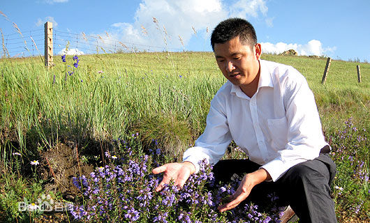 蒙草抗旱 王召明 生態(tài)建設(shè) 生態(tài)產(chǎn)業(yè)