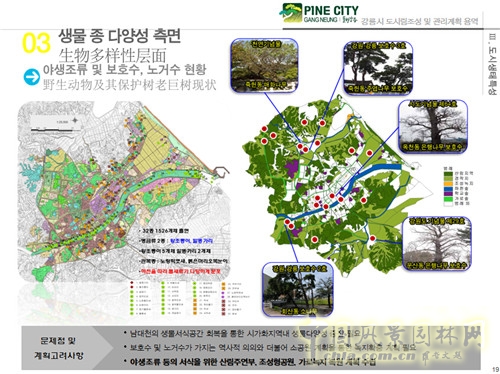 趙泰東:韓國江陵市城市林建設和管理計劃