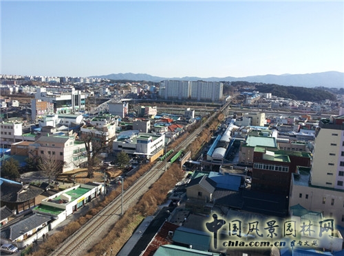 趙泰東：韓國江陵市城市林建設和管理計劃