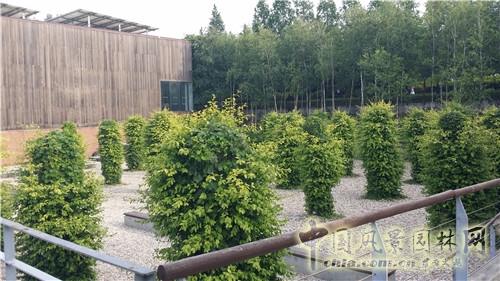 韓國(guó)仙游島公園