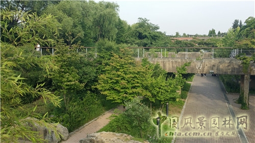 韓國(guó)仙游島公園