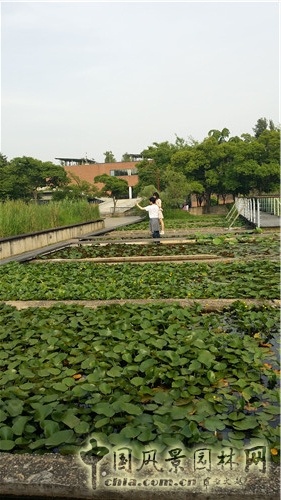 韓國仙游島公園
