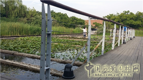 韓國仙游島公園