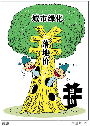 超級(jí)銀杏 綠化設(shè)計(jì) 規(guī)劃設(shè)計(jì) 城市綠化