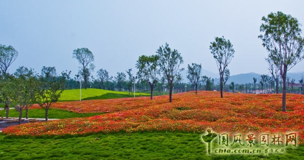 濟(jì)南園林花卉博覽會