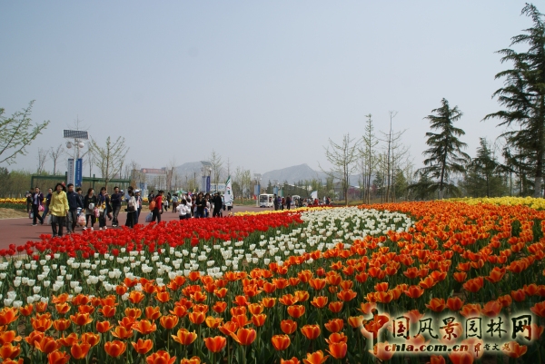 濟(jì)南園林花卉博覽會