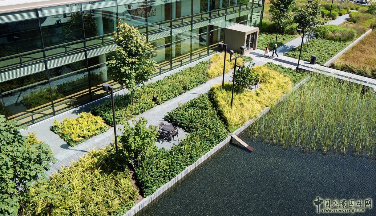 比爾和梅琳達·蓋茨基金會