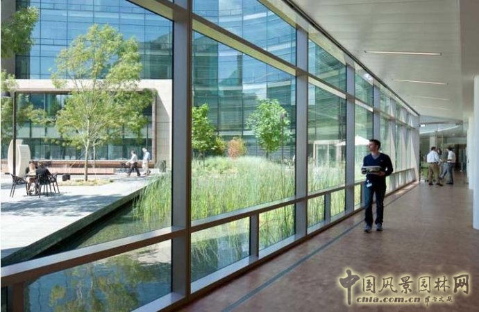 比爾和梅琳達·蓋茨基金會