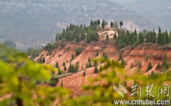 紅山綠樹相映成景