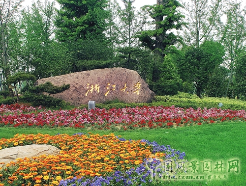 浙江大學紫金港校區 西溪風景區 浙江大學