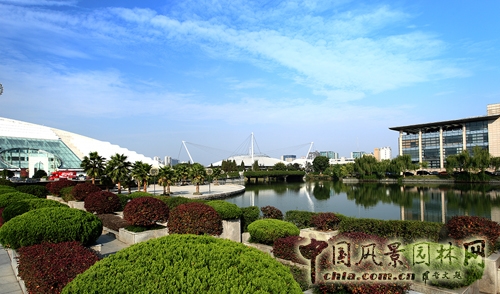 浙江大學紫金港校區 西溪風景區 浙江大學