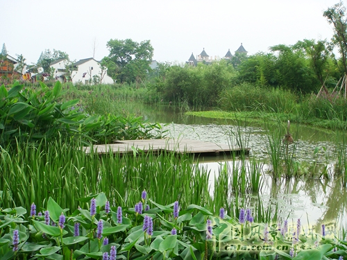 杭州西溪國家濕地公園