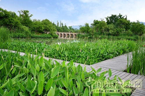 杭州西溪國家濕地公園