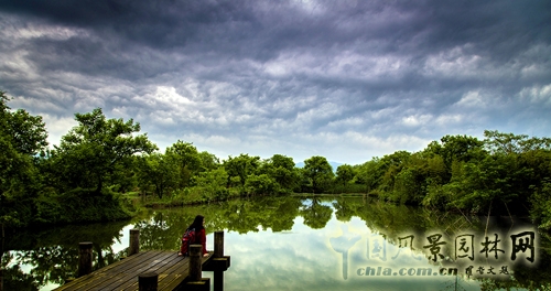 杭州西溪國(guó)家濕地公園