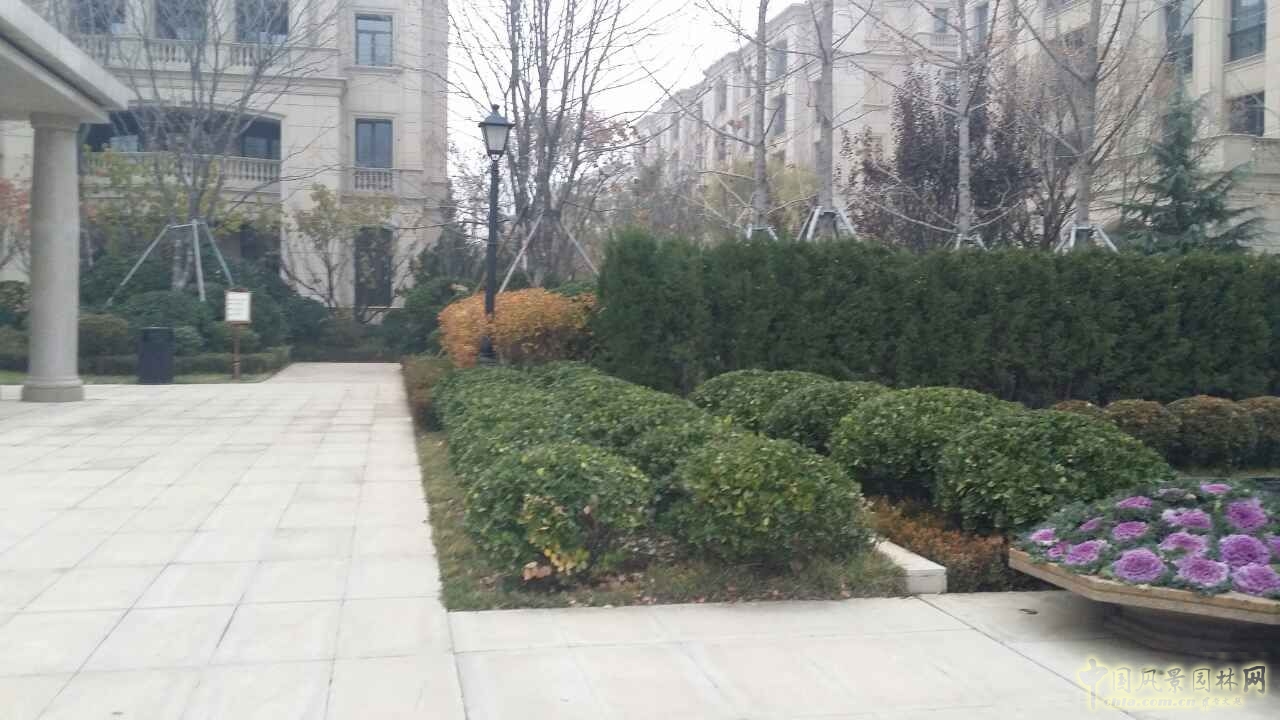 園冶杯 住宅景觀獎 遠洋鉆石灣 景觀園林