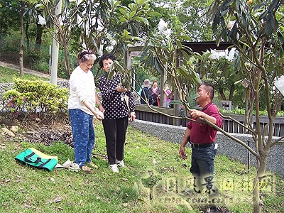 長庚養生文化村