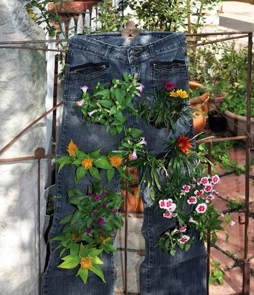 別樣花器別樣情趣 盆栽綠植煥發出新生機