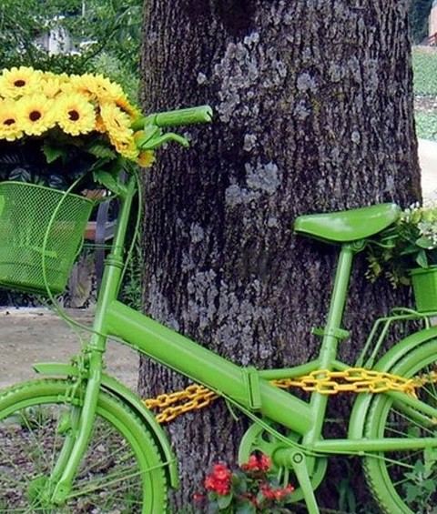 別樣花器別樣情趣 盆栽綠植煥發出新生機