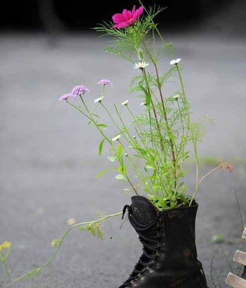 別樣花器別樣情趣 盆栽綠植煥發出新生機