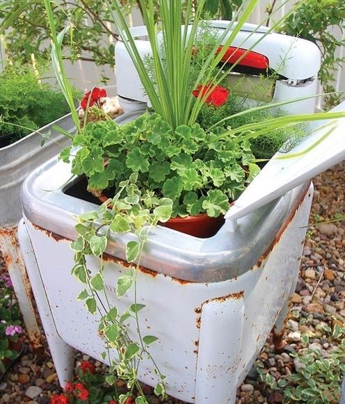 別樣花器別樣情趣 盆栽綠植煥發出新生機