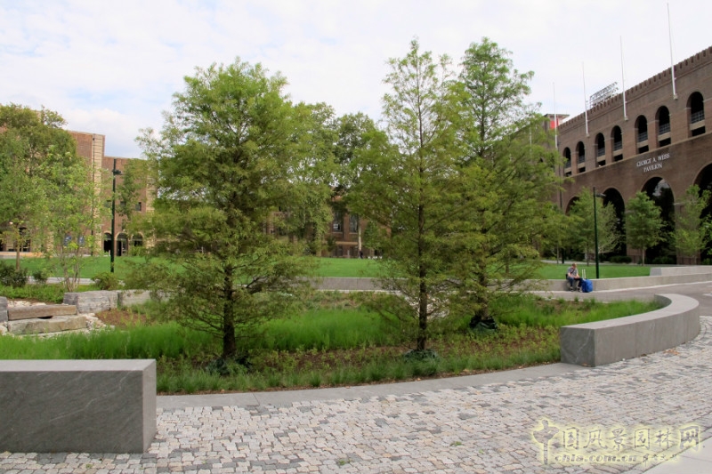 美國賓夕法尼亞大學鞋匠綠地