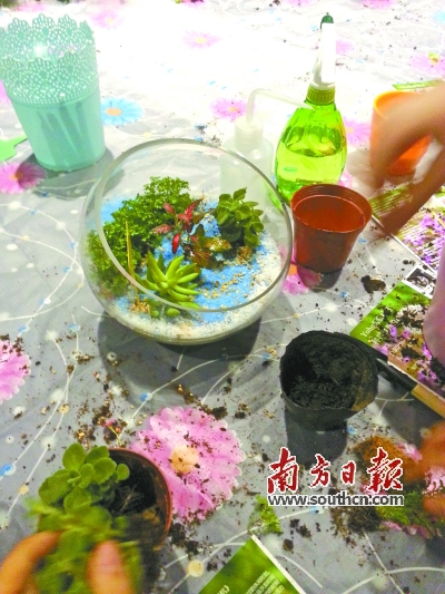 微景觀 多肉植物 園藝師 生態瓶