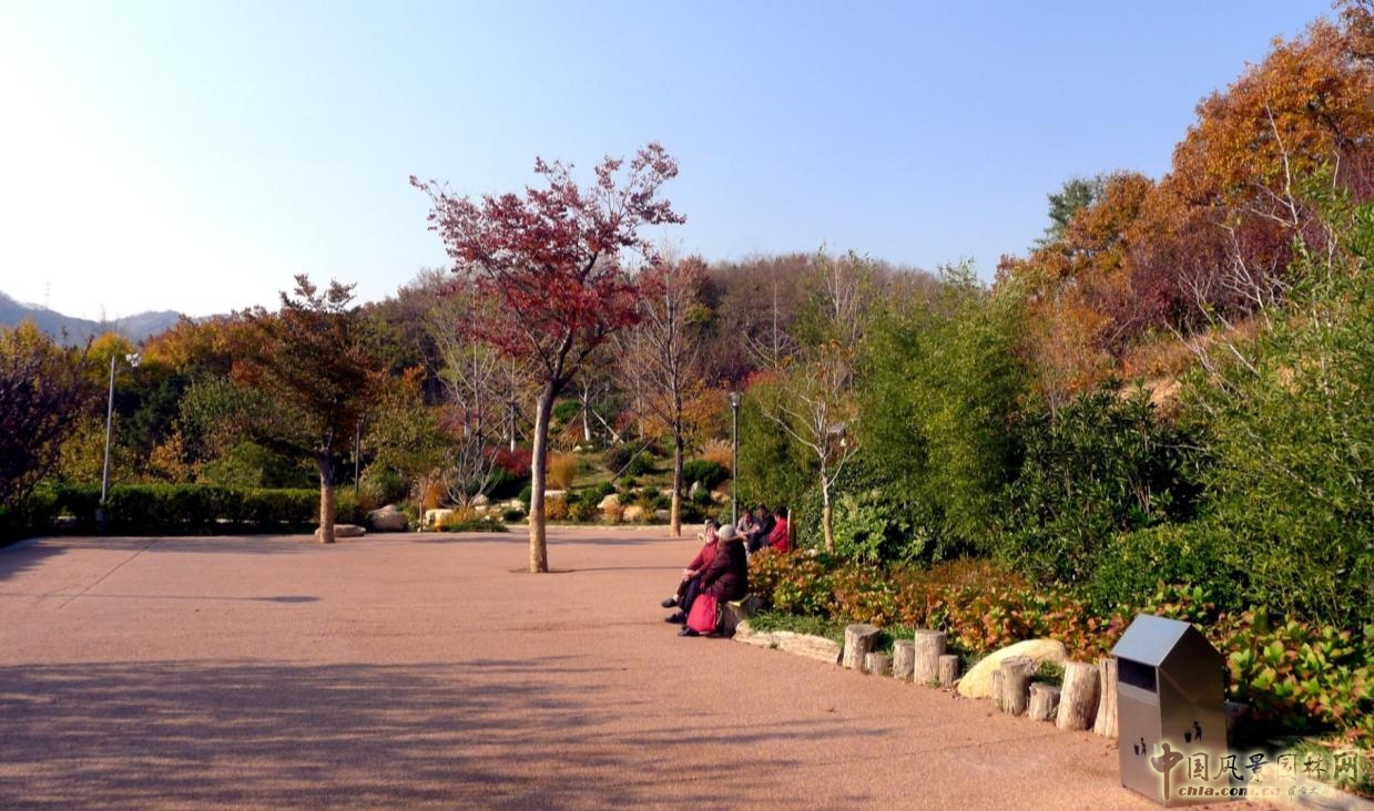 林蔭活動(dòng)場(chǎng)實(shí)景