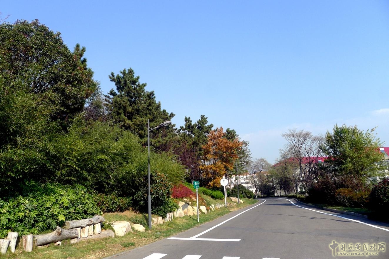 外圍環(huán)路與兩側(cè)綠化實(shí)景