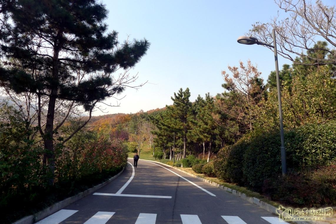 外圍環(huán)路與兩側(cè)綠化實(shí)景