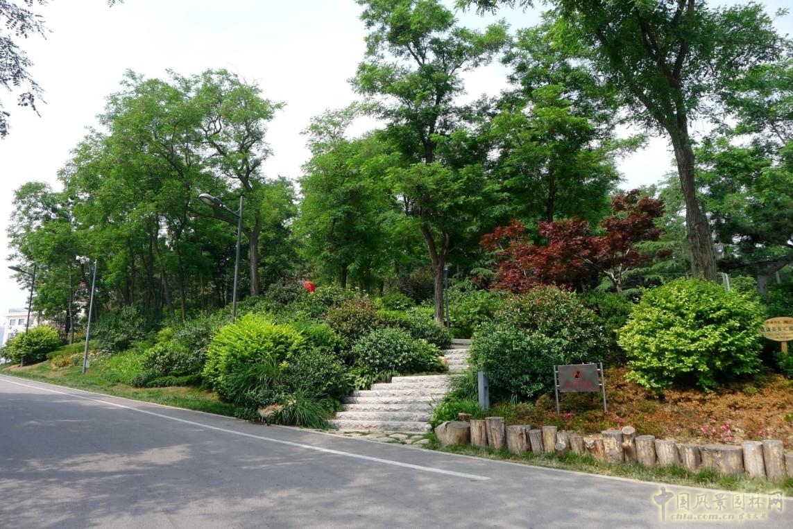 外圍環(huán)路與兩側(cè)綠化實(shí)景