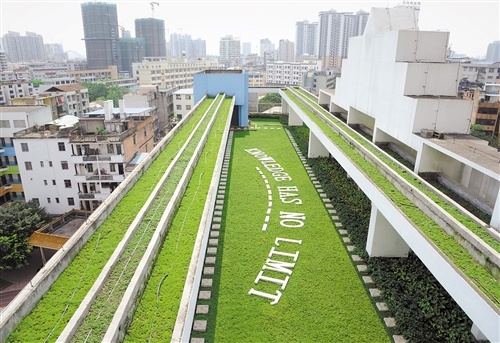 華強路小學教學樓頂上的空中綠地。