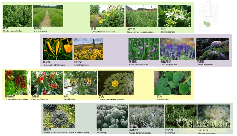 武漢園博會創意花園山居