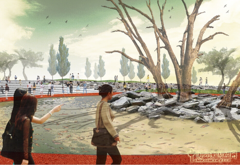 武漢園博會(huì)創(chuàng)意花園找尋