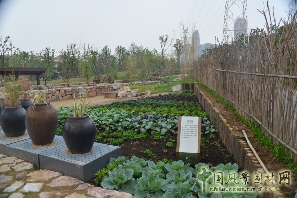 武漢園博會再生庭院