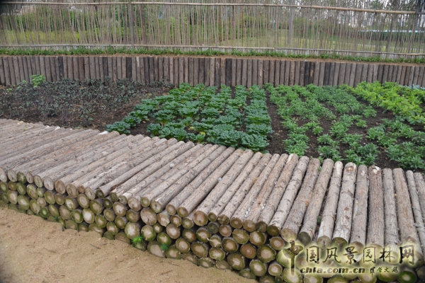 武漢園博會(huì)再生庭院