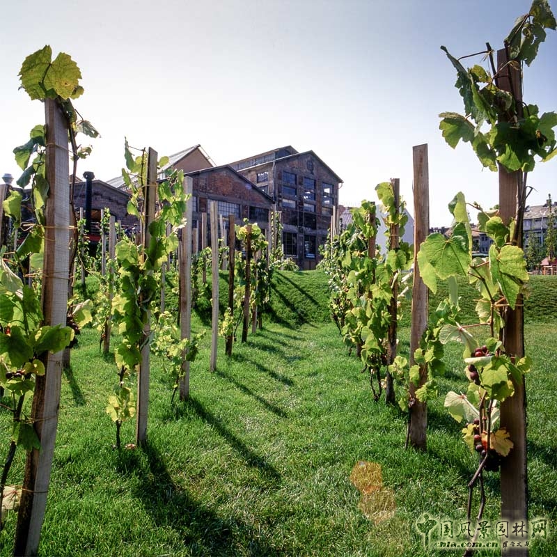 匈牙利布達(dá)佩斯千禧公園景觀設(shè)計