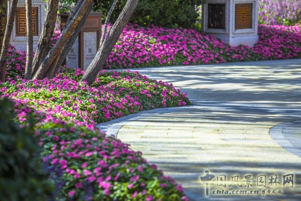 首創(chuàng)禧瑞墅