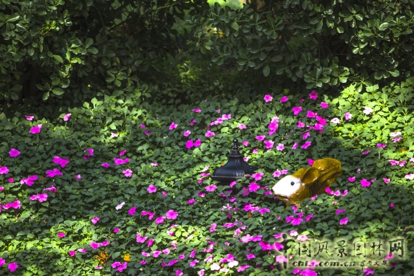 首創(chuàng)禧瑞墅